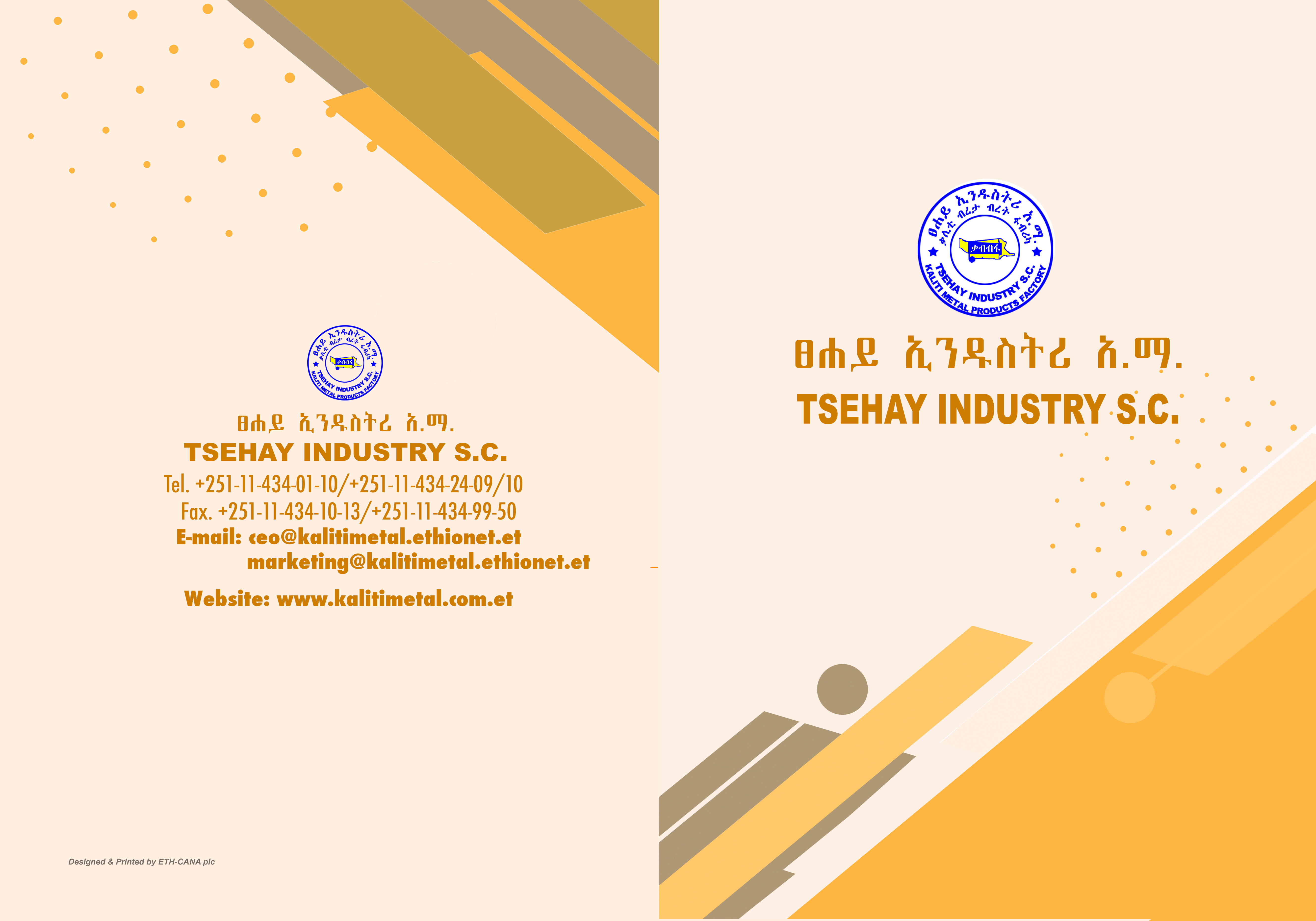 Corporate file folder design for Tsehay Industry with geometric gold and beige layout
