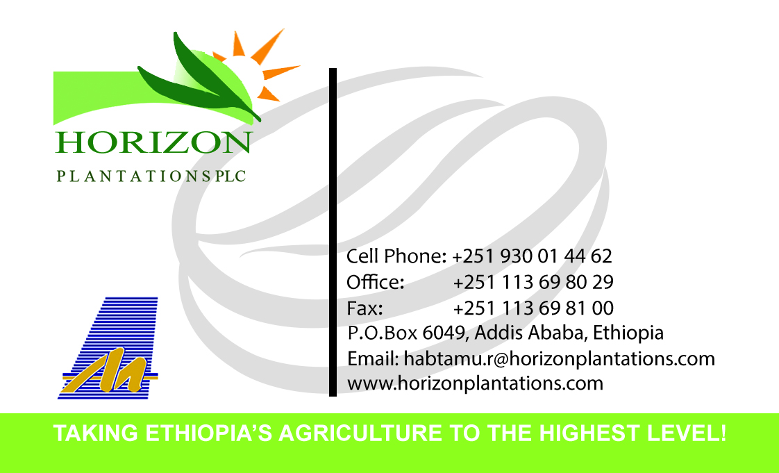 Horizon Plantations business card with logo, contact information, and green brand accents